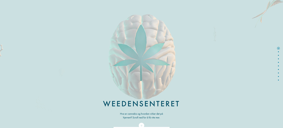 品牌网站设计