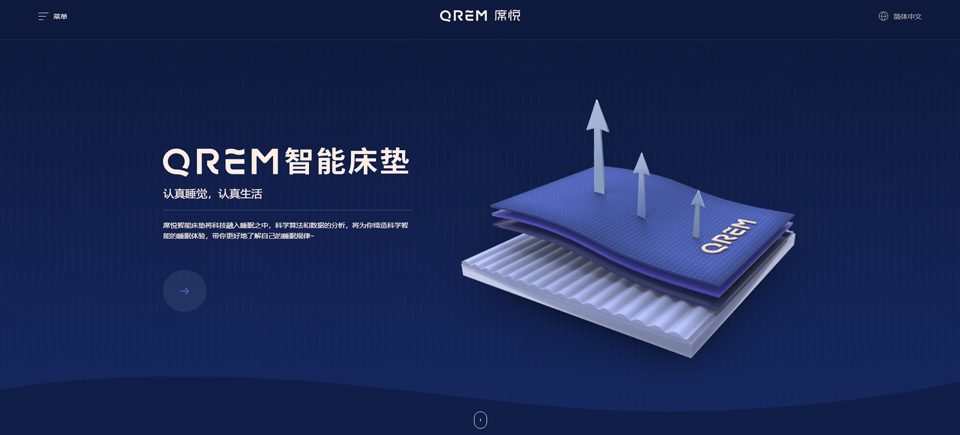 专业网站设计