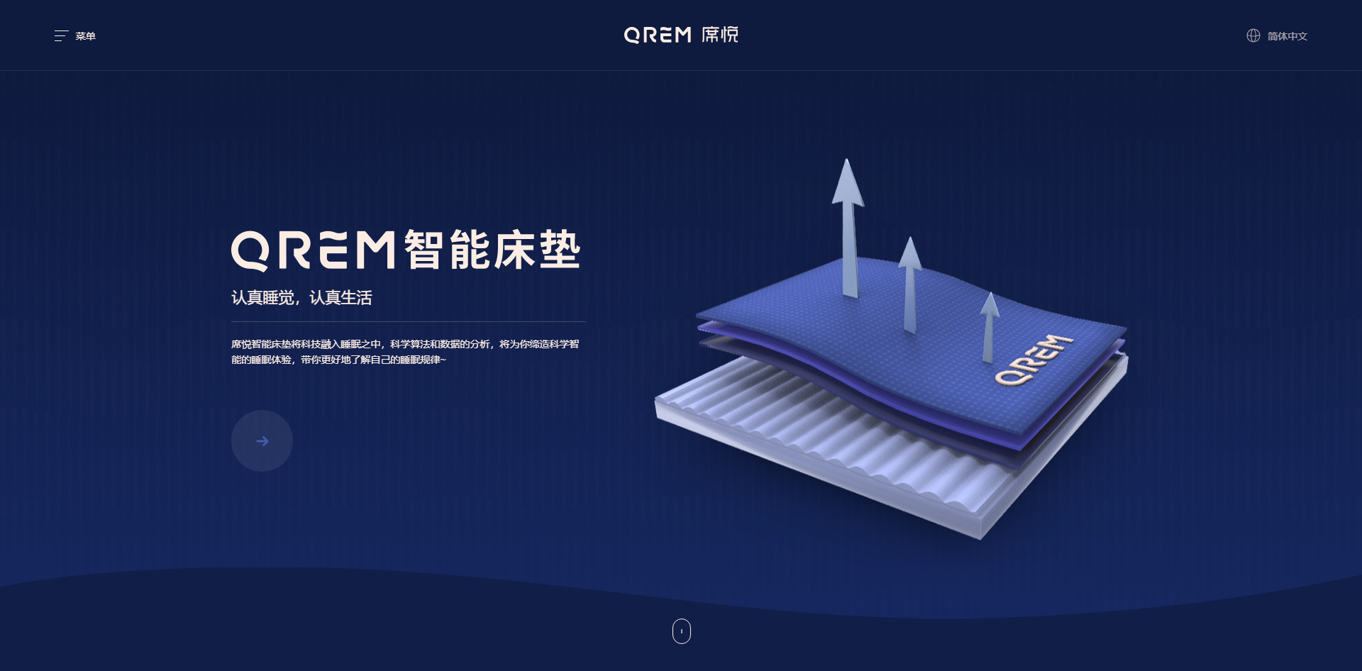 专业网站设计