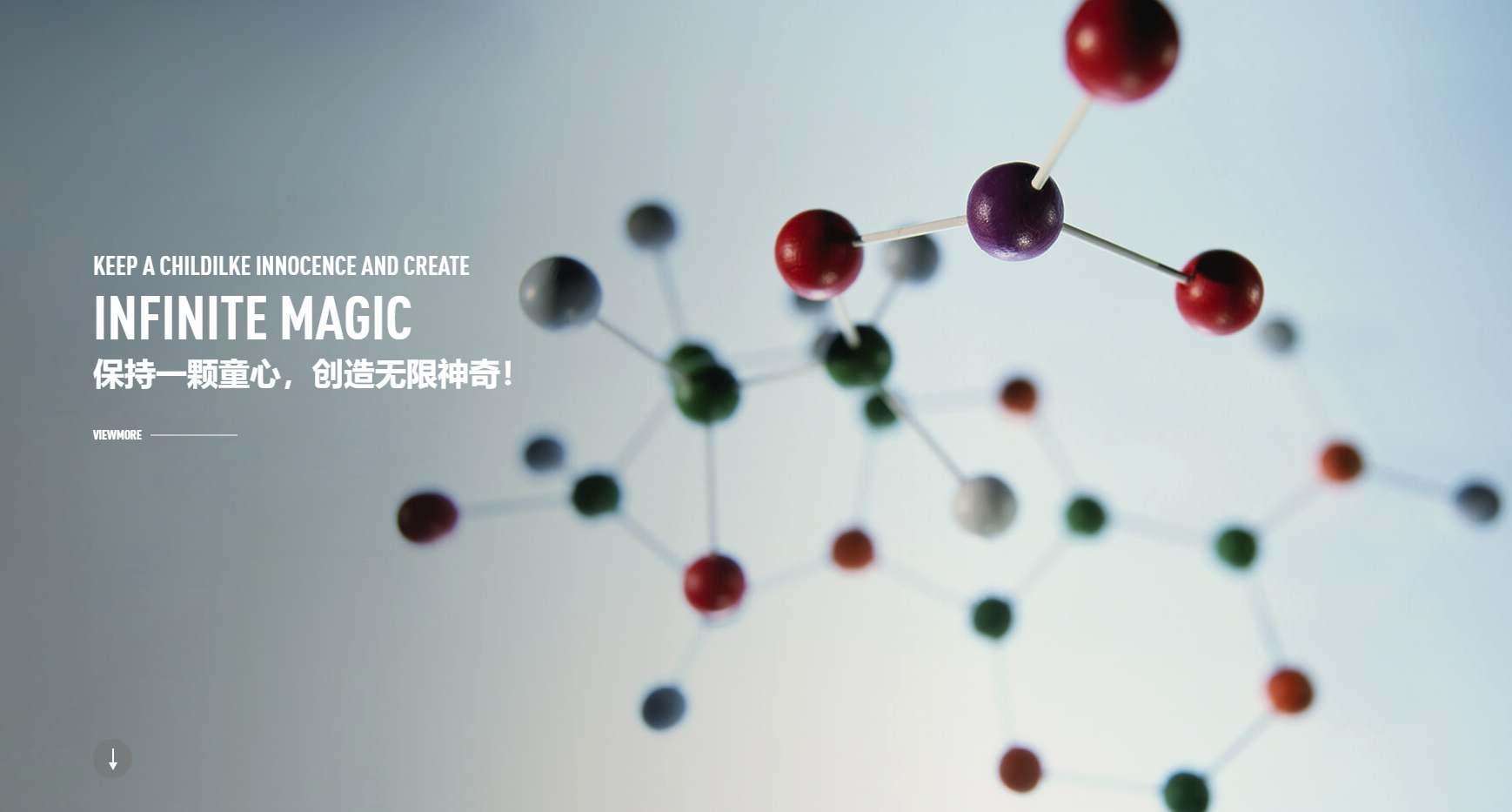 深圳官网建设