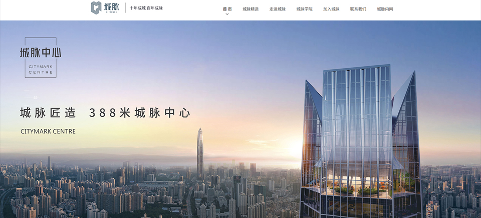 企业网站定制