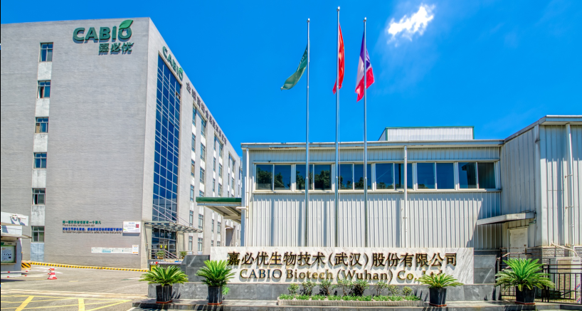 科创板上市公司网站设计