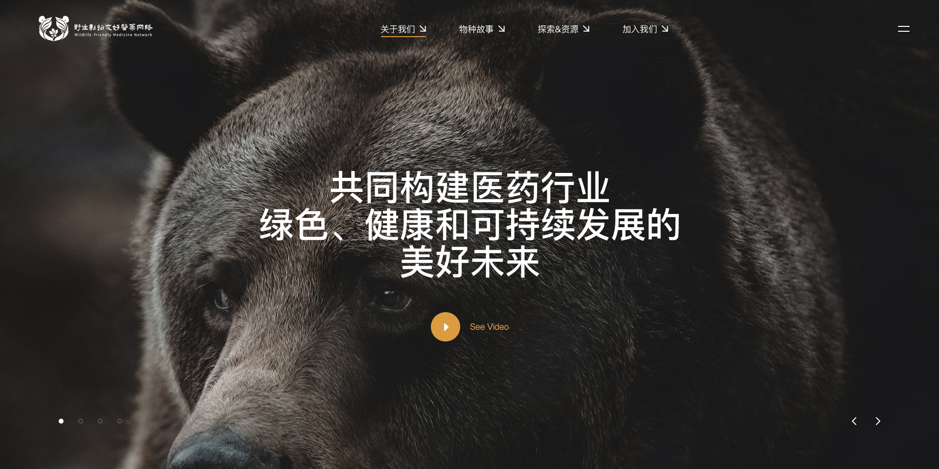 专业网站建设公司