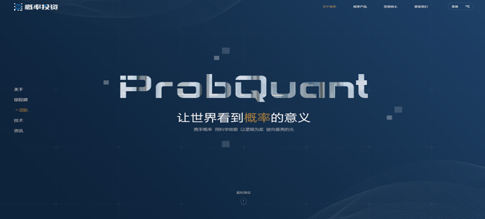 网站设计开发