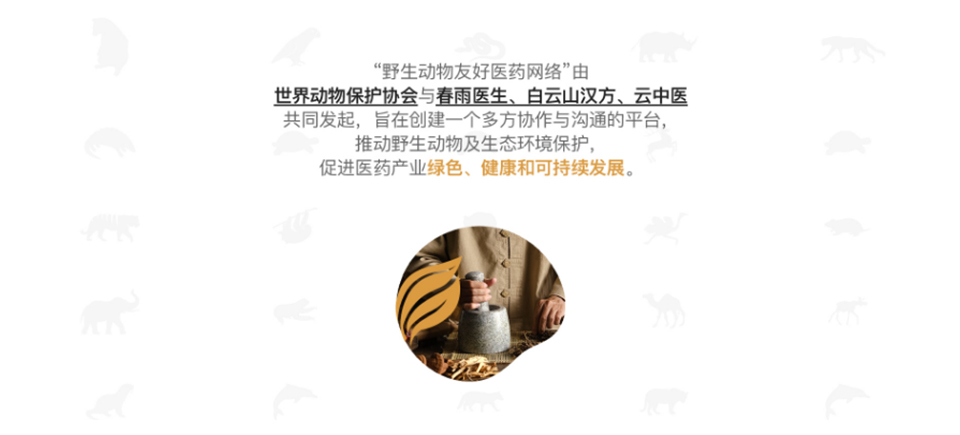 深圳网站设计公司