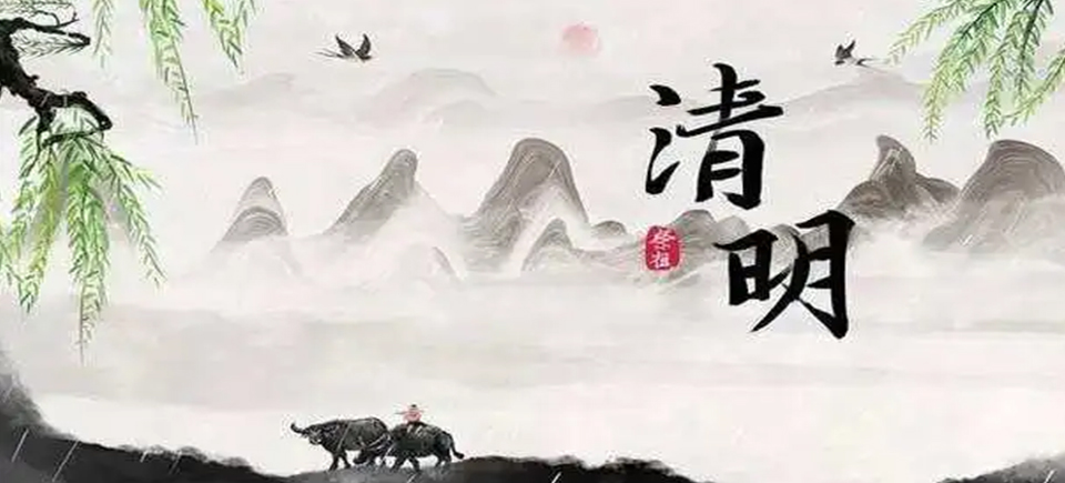 深圳尼高网站设计公司