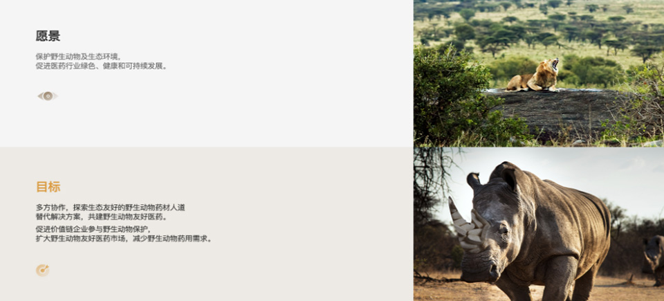 网页设计公司,深圳网页设计,深圳高端网页设计